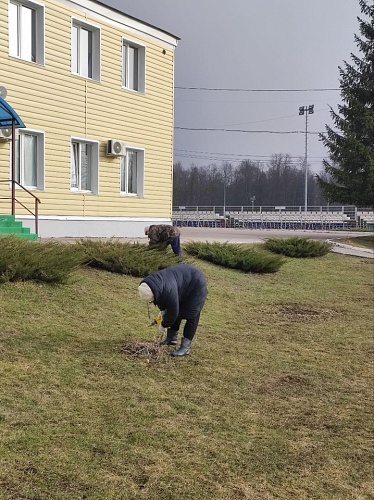 Сотрудники МБУДО СШ «Арсенал» активно принимают участие в городском субботнике